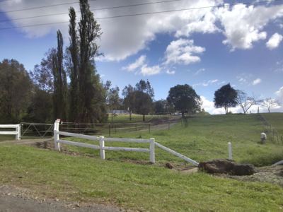 Road View.jpg